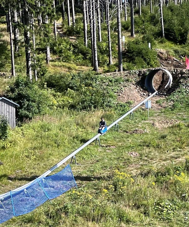 Apartman Plesivec U Sjezdovky Abertamy Exteriör bild